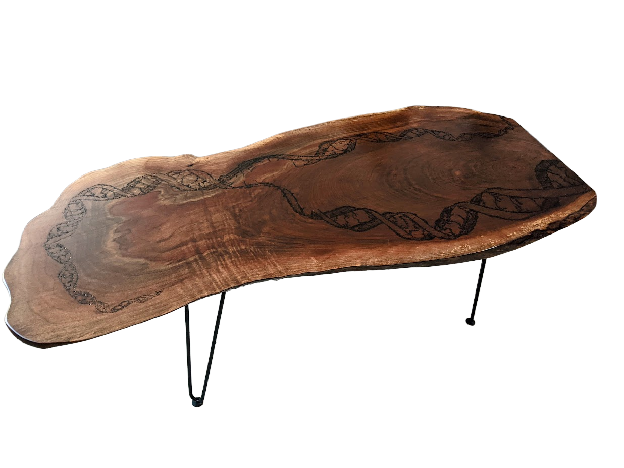 Live-edge coffee table with woodburned DNA