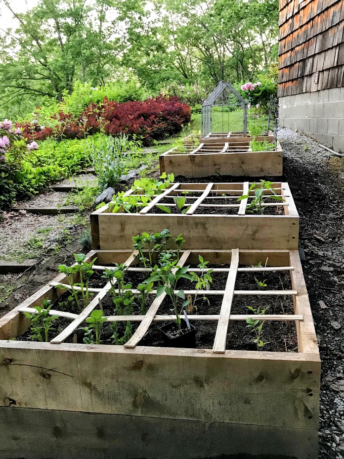 Raised garden beds